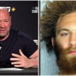 Dana White