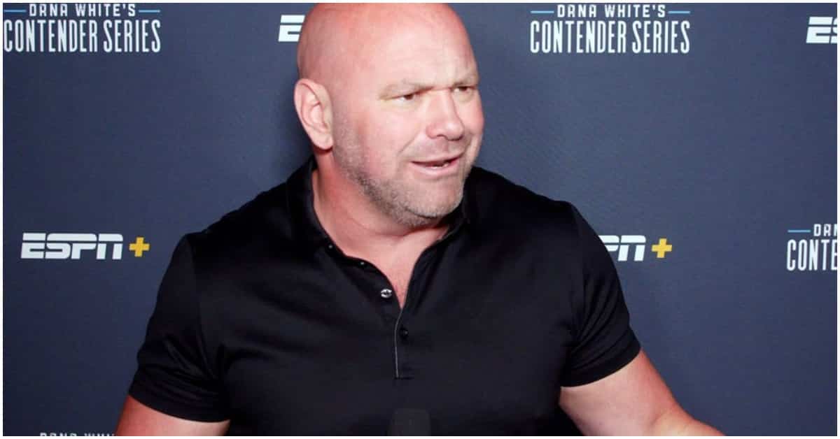 Dana White Reacts To Conor McGregor Punching Italian DJ 1 Dana White