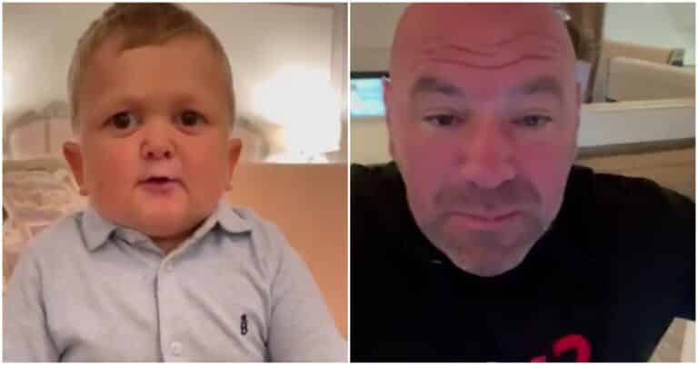 Hasbulla Sends Video Message To Dana White, The UFC Boss Responds