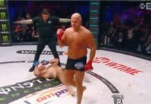 Fedor Emelianenko