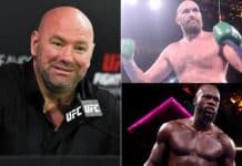 Dana White