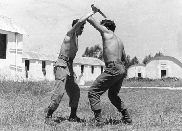 Krav Maga - The Complete Self Defense From Israel 2 Krav Maga