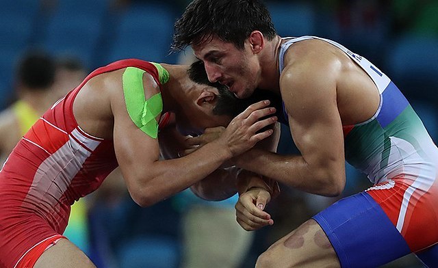 Deadliest Martial Arts - Top 10 For 2025 2 Wrestling