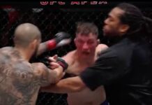 Cub Swanson