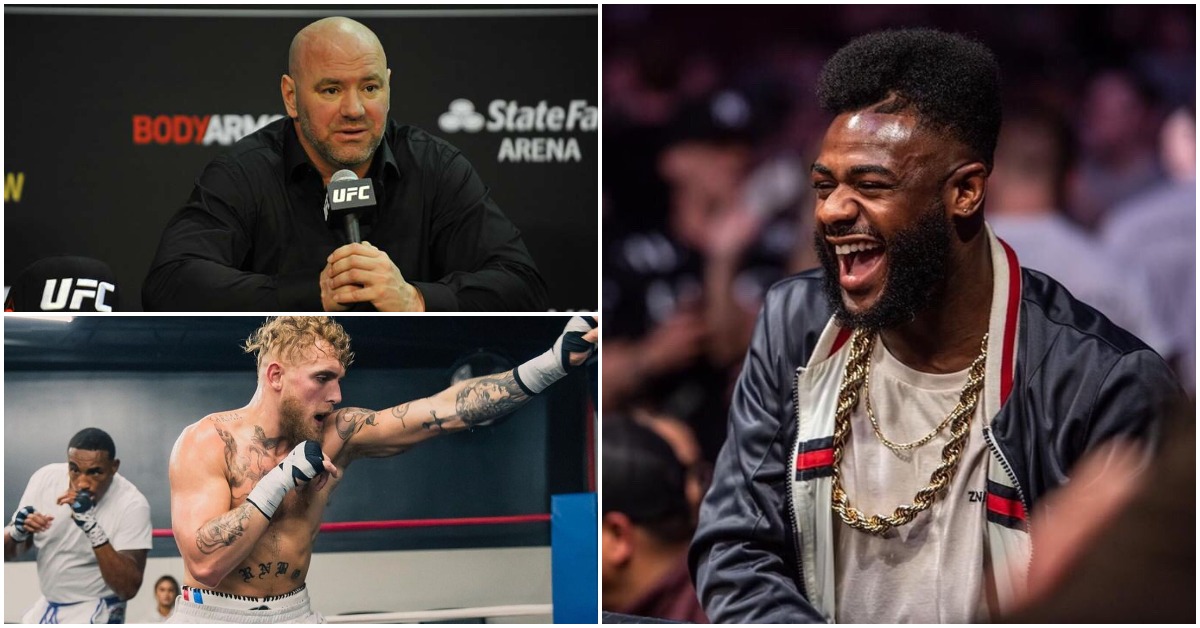 Aljamain Sterling Backs Dana White To Beat Up Jake Paul 1 Aljamain Sterling