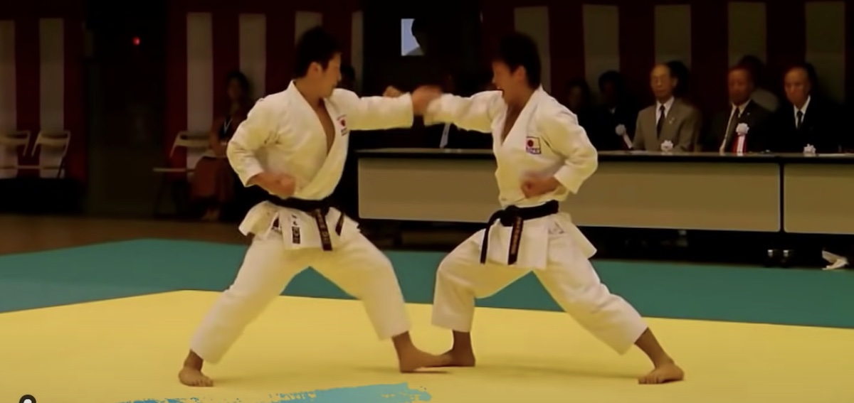 Top 10 Most Dangerous And Effective Fighting Styles
