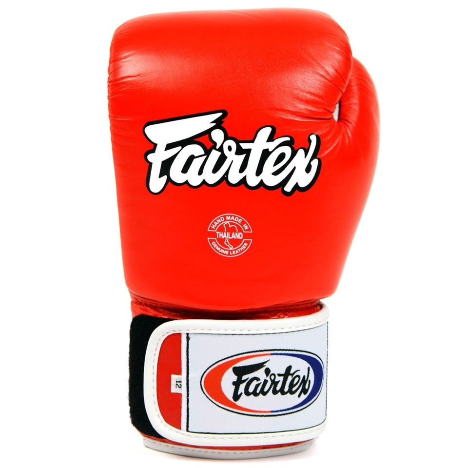 Fairtex BGV1 Muay Thai Gloves