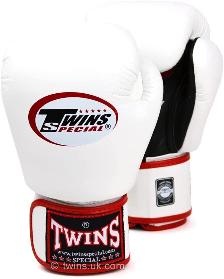 Twins Muay Thai Training Gloves
