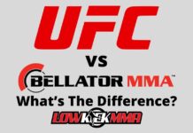 Ufc vs bellator