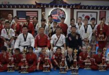 Taekwondo Schools