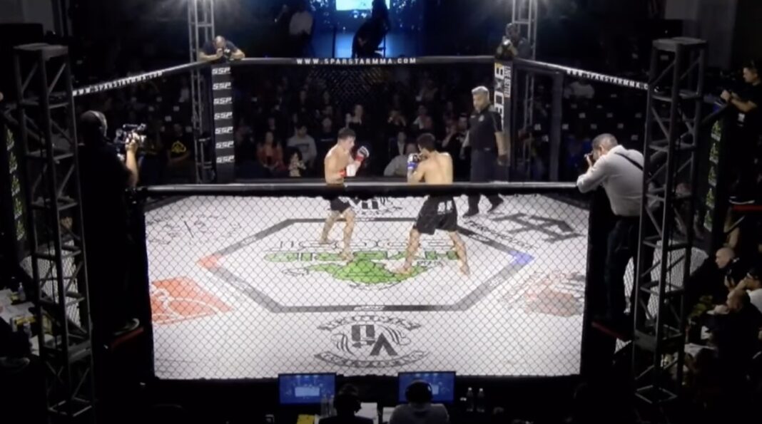 how to be a mma manager how to be a mma manager