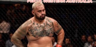 Mark Hunt