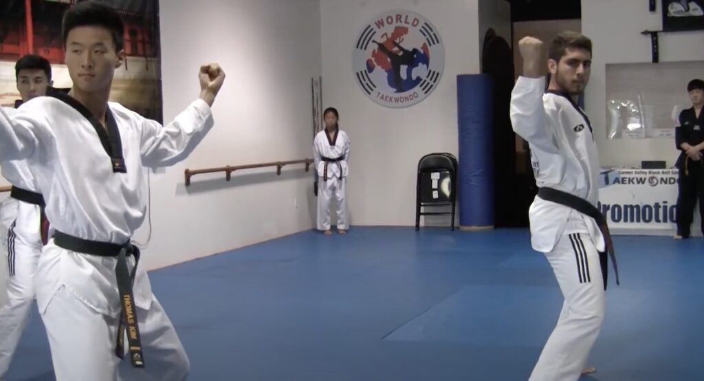 best taekwondo schools