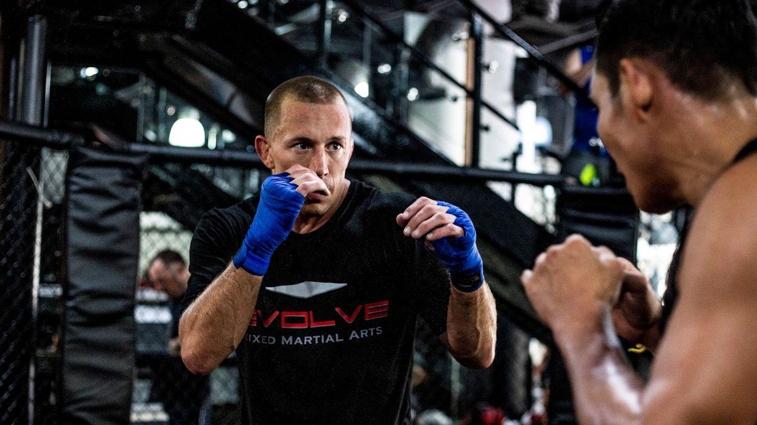 The 5 Smartest MMA Fighters Of All Time 1 GSP