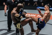 Muay Thai kick