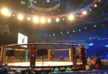 Bellator 275