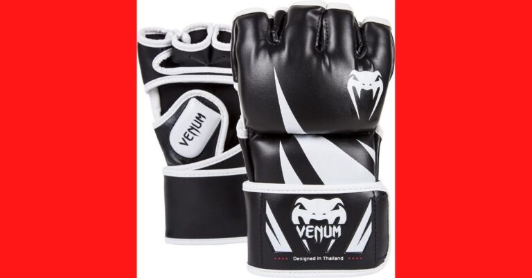 Best MMA Gloves (2024 Update)