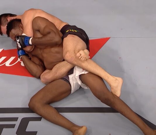 Best BJJ Fighters