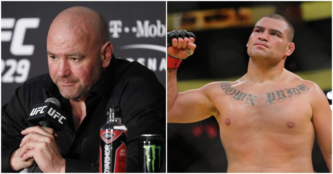 dana white cain velasquez