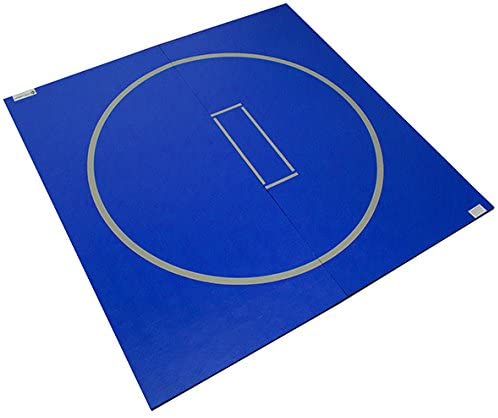 Best Jiu Jitsu Mats - 2022 Updated 6 Dollamur 10’ x 10’ Wrestling Mat(Royal)