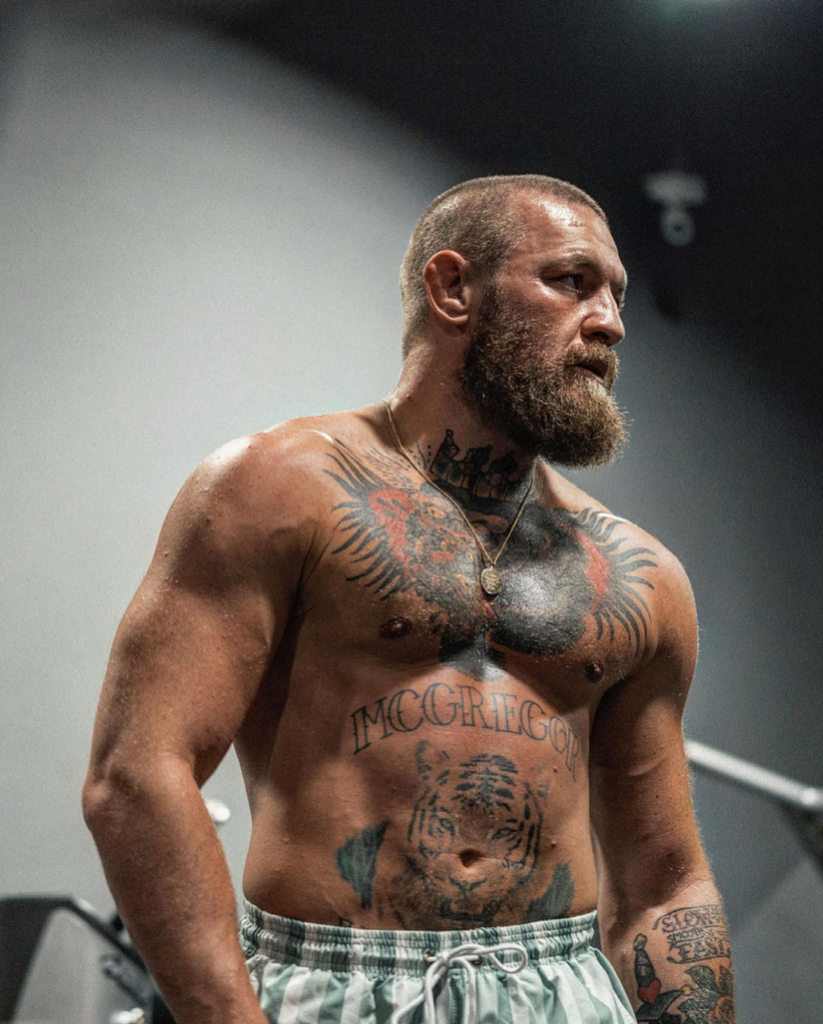 Conor McGregor Calls Henry Cejudo a 'Fat Little Novice' Following Boxing Critique 2 NINTCHDBPICT000697801578 5