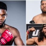 Paul Daley