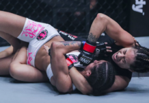 4 Types Of Grappling Found In MMA