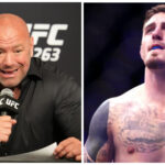 dana white