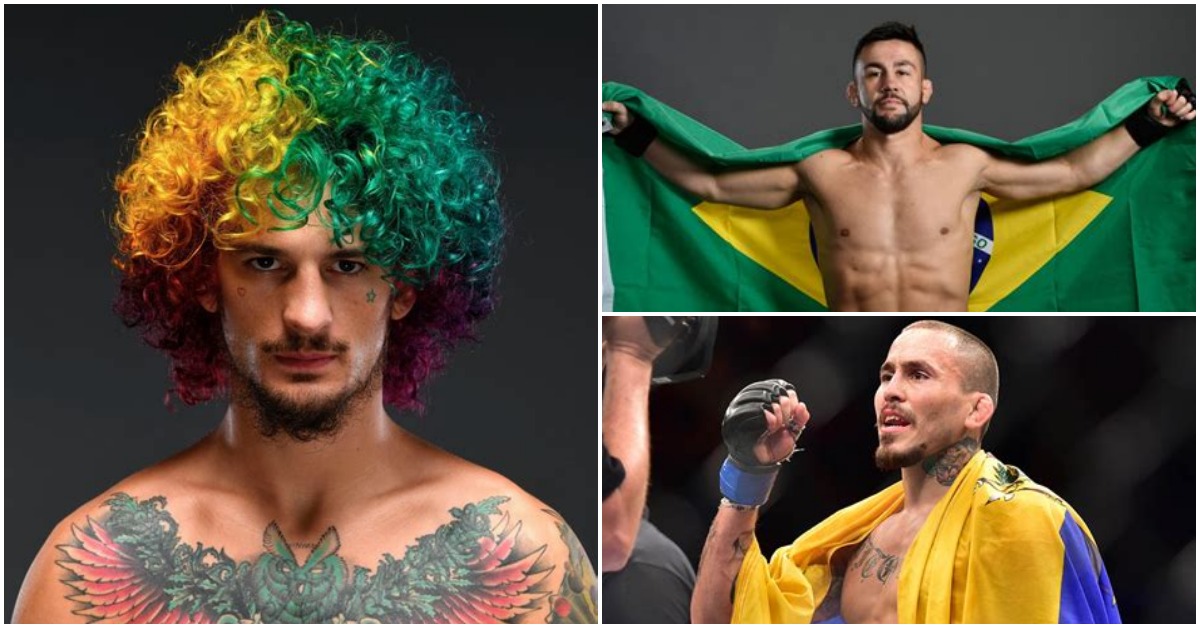 Sean O'Malley, Pedro Munhoz, Marlon Vera