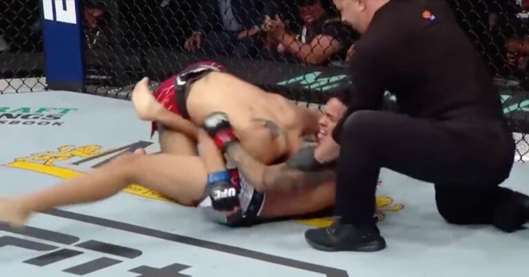 Brandon Royval Stops Matt Schnell With Slick Guillotine Win – UFC 274 Highlights