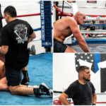 Tyson Fury, Nick Diaz