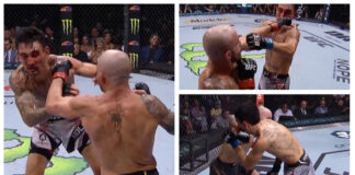 Alex Volkanovski, Max Holloway
