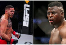 Anthony Pettis, Francis Ngannou