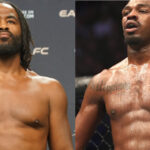 rashad evans