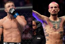 Cody Stamann