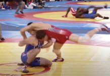 Freestyle wrestling