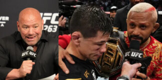 dana white