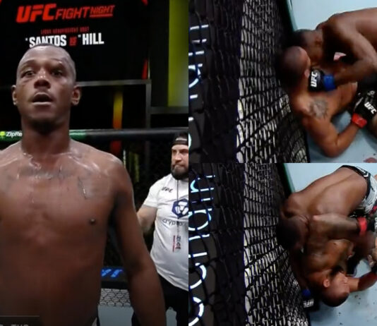 Jamahal Hill, Thiago Santos