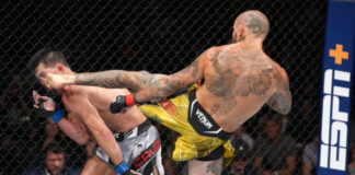Marlon Vera