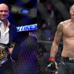 dana white