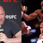 Dana White