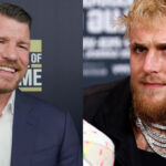 Michael Bisping, Anderson Silva, Jake Paul