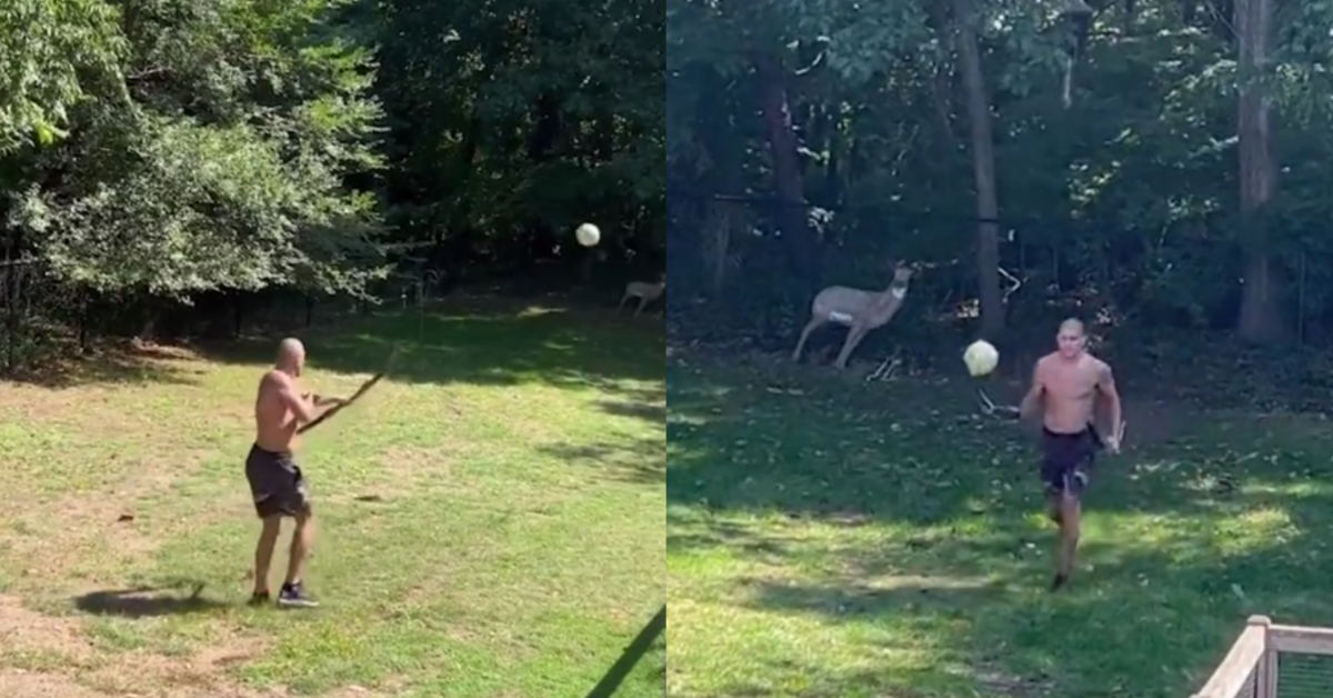 Watch: Alex Pereira nails trick shot with bow and arrow 1 Alex Pereira