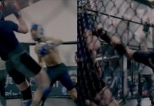 Conor McGregor