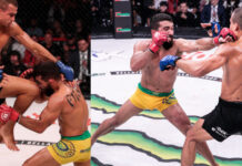 Patricio Pitbull, Adam Borics