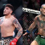 dillon danis
