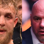 Jake Paul, Dana White