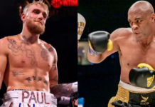 Jake Paul anderson Silva