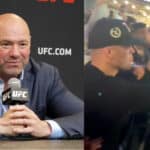 dana white