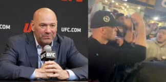 dana white